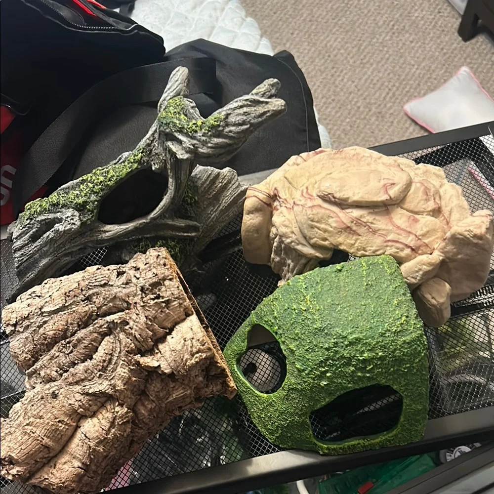 Reptile Terrarium Kit with Black Frame